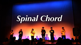 Spinal Chord